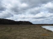 IMG_4972.jpg