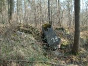 DSC01181.JPG