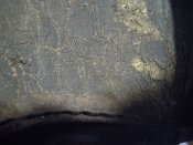DSCN0358.JPG