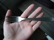 DSCN4152.jpg