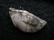 DSC00314.jpg
