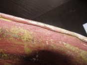 IMG_0723.jpg