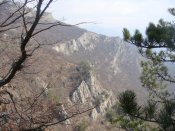 DSC01017.jpg