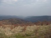 DSC01021.jpg