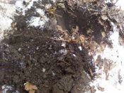 IMG_20180118_140113.jpg