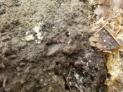 IMG_20180118_142619.jpg