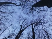 IMG_20180118_171245.jpg
