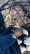 IMG_20180108_121310.jpg