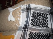 IMG_2250.JPG