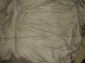 PC090430.jpg