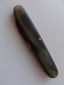 100_2447.jpg