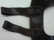 user33907_pic242011_1332680867.jpg