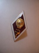 DSC01143.jpg