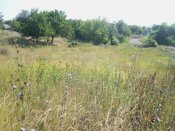 100_7489.JPG