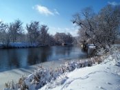 IMG_20180121_124755.jpg