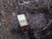 24032012667_small.jpg