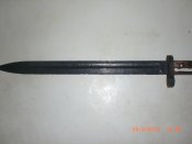 CIMG5520.JPG