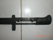 CIMG5551.JPG