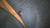 WP_20180122_21_51_22_Pro.jpg