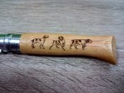 IMG_20180120_161946.jpg