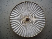 DSC00044.jpg