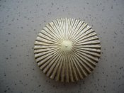 DSC00042.jpg