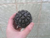 2012-03-26-069.jpg
