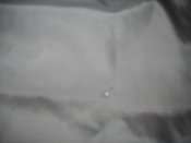 DSCN3399.JPG