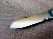 IMG_20180124_155012.jpg