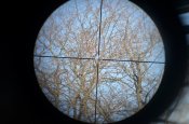 DSC_0276.JPG