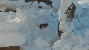 P_20180126_092453.jpg