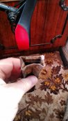IMG_20180126_113716165.jpg