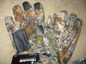 IMG_5373[1].jpg
