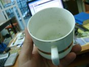 DSC05505.JPG
