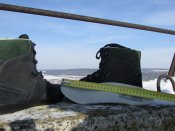 IMG_5569.JPG