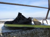 IMG_5549.JPG