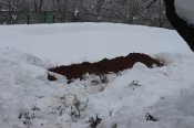 IMG_2709.JPG
