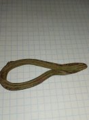 IMG_20180124_220402.jpg