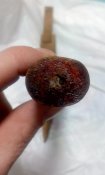 IMG_20180127_224205.jpg