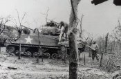 784th Tank Battalion in Merode.jpg