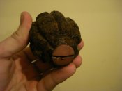 DSC06667.JPG