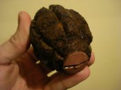 DSC06668.JPG