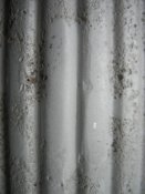 IMG_0059.jpg
