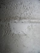 IMG_0060.jpg
