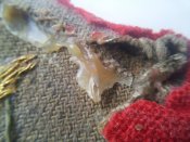 20180129_134726.jpg