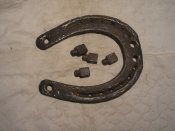 Подкова большая (ганс)