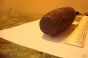 DSC04314.jpg