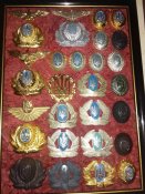 20180131_094407.jpg