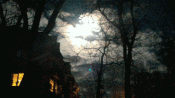 P_20180131_193304.gif
