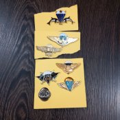 IMG_20180203_165339.jpg